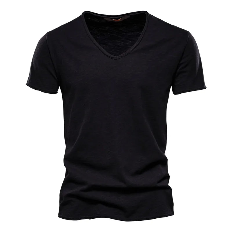 Harry | Classic V-Neck Tee (1+1 Free)