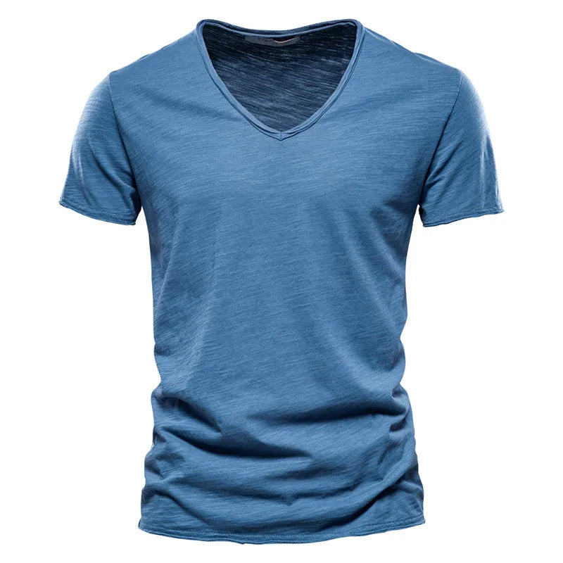 Harry | Classic V-Neck Tee (1+1 Free)